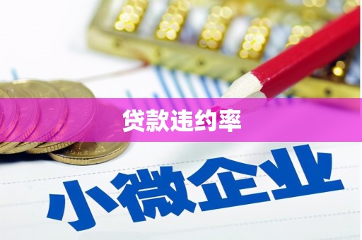 揭阳贷款违约率