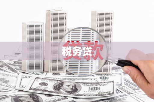 揭阳税务贷