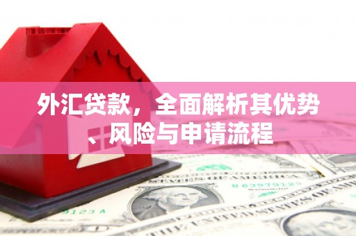 揭阳外汇贷款，全面解析其优势、风险与申请流程