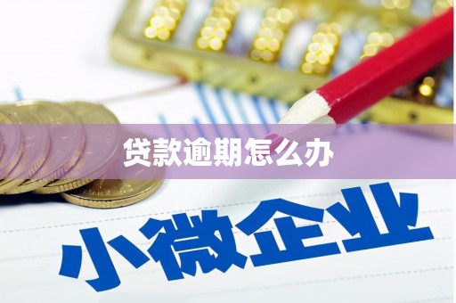 揭阳贷款逾期怎么办