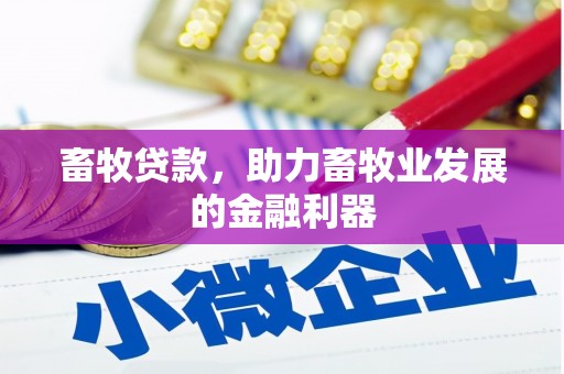 揭阳畜牧贷款，助力畜牧业发展的金融利器