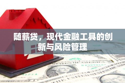 揭阳随薪贷，现代金融工具的创新与风险管理