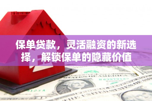揭阳保单贷款，灵活融资的新选择，解锁保单的隐藏价值