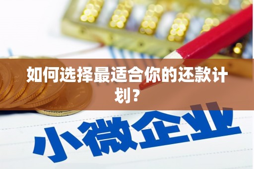 揭阳如何选择最适合你的还款计划？