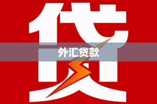 揭阳外汇贷款