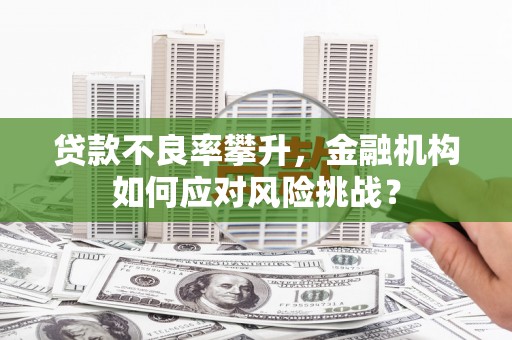 揭阳贷款不良率攀升，金融机构如何应对风险挑战？