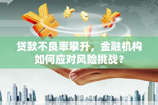 揭阳贷款不良率攀升，金融机构如何应对风险挑战？