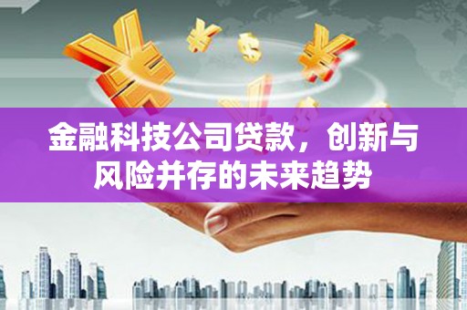 揭阳金融科技公司贷款，创新与风险并存的未来趋势