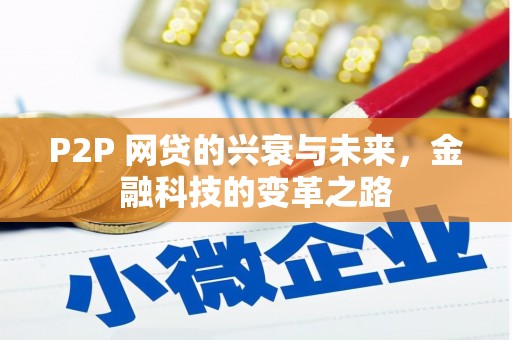 揭阳P2P 网贷的兴衰与未来，金融科技的变革之路