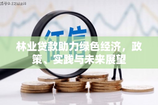 揭阳林业贷款助力绿色经济，政策、实践与未来展望