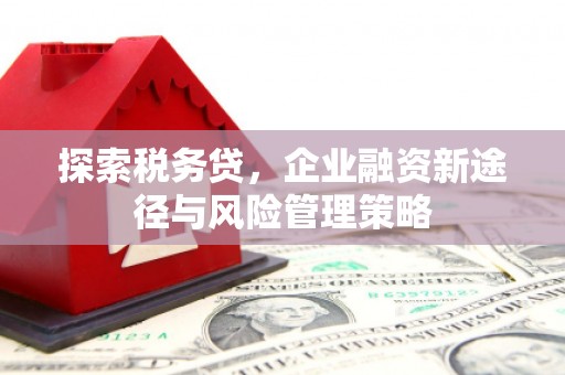 揭阳探索税务贷，企业融资新途径与风险管理策略