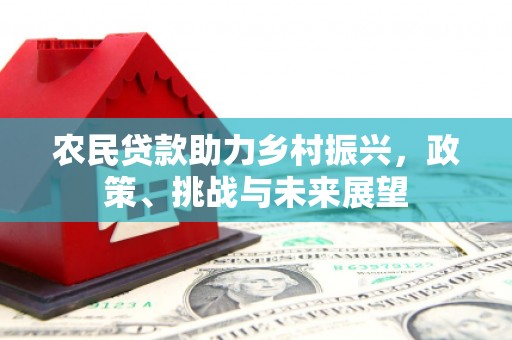 揭阳农民贷款助力乡村振兴，政策、挑战与未来展望
