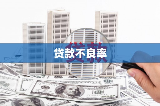 揭阳贷款不良率