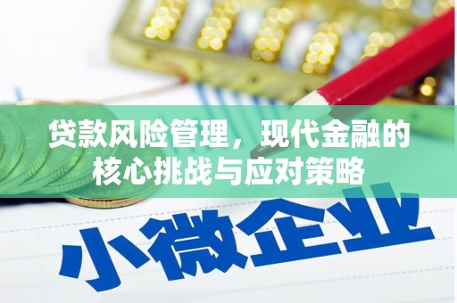 揭阳贷款风险管理，现代金融的核心挑战与应对策略