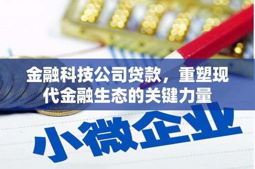 揭阳金融科技公司贷款，重塑现代金融生态的关键力量