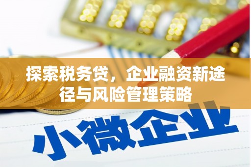 揭阳探索税务贷，企业融资新途径与风险管理策略