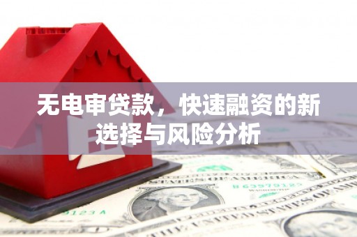揭阳无电审贷款，快速融资的新选择与风险分析