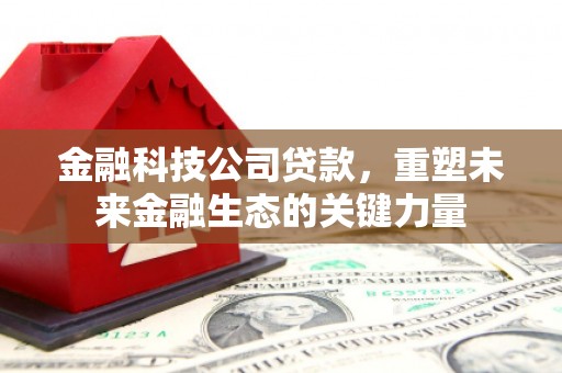 揭阳金融科技公司贷款，重塑未来金融生态的关键力量