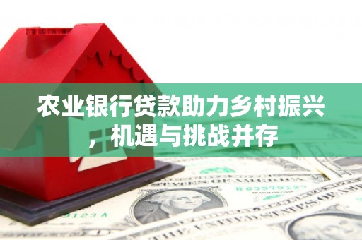 揭阳农业银行贷款助力乡村振兴，机遇与挑战并存