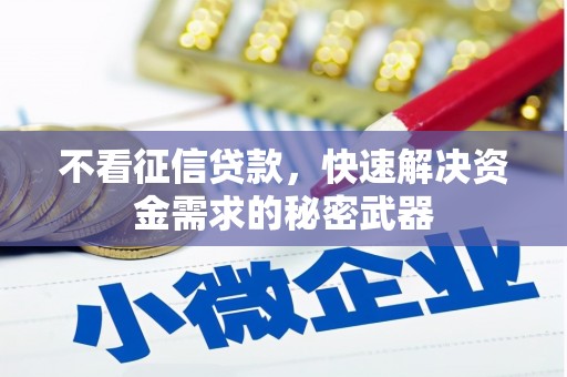 揭阳不看征信贷款，快速解决资金需求的秘密武器