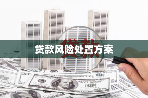 揭阳贷款风险处置方案