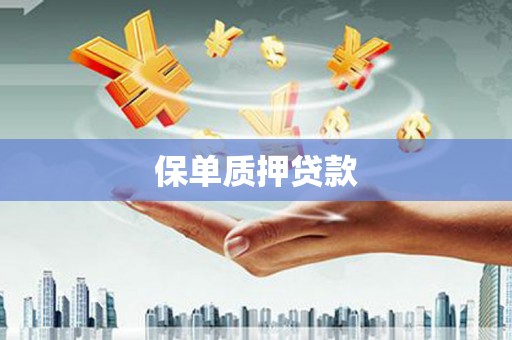 揭阳保单质押贷款