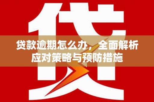 揭阳贷款逾期怎么办，全面解析应对策略与预防措施