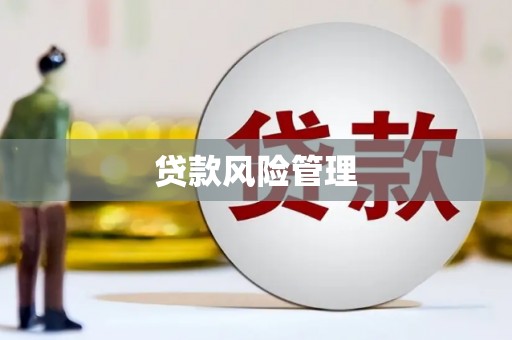 揭阳贷款风险管理