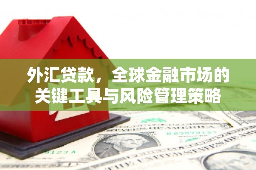 揭阳外汇贷款，全球金融市场的关键工具与风险管理策略
