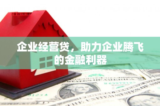 揭阳企业经营贷，助力企业腾飞的金融利器