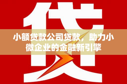 揭阳小额贷款公司贷款，助力小微企业的金融新引擎