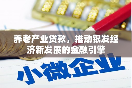 揭阳养老产业贷款，推动银发经济新发展的金融引擎