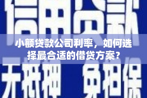 揭阳小额贷款公司利率，如何选择最合适的借贷方案？