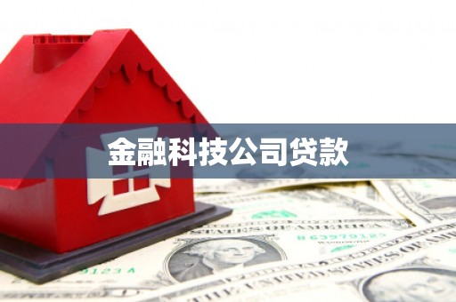 揭阳金融科技公司贷款