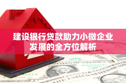 揭阳建设银行贷款助力小微企业发展的全方位解析
