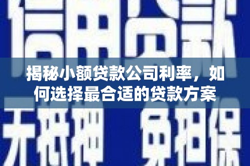 揭阳揭秘小额贷款公司利率，如何选择最合适的贷款方案