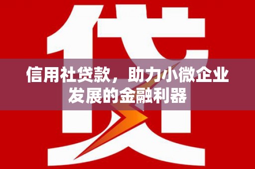 揭阳信用社贷款，助力小微企业发展的金融利器