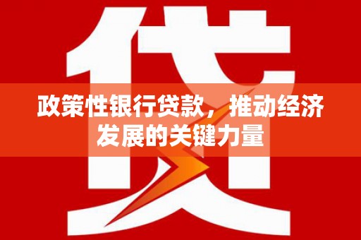 揭阳政策性银行贷款，推动经济发展的关键力量