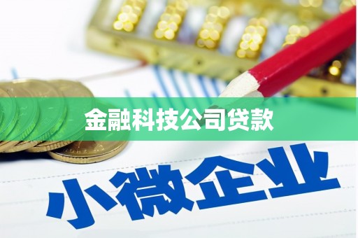 揭阳金融科技公司贷款