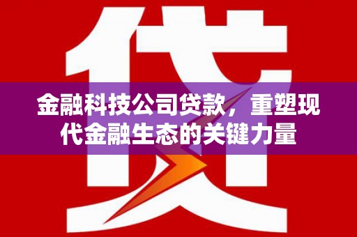 揭阳金融科技公司贷款，重塑现代金融生态的关键力量