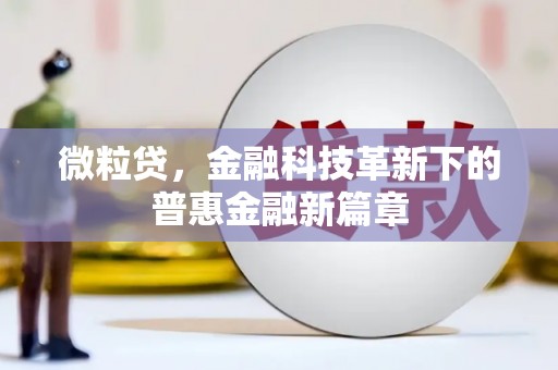 揭阳微粒贷，金融科技革新下的普惠金融新篇章