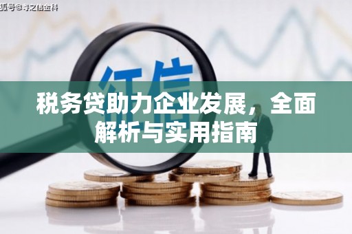 揭阳税务贷助力企业发展，全面解析与实用指南