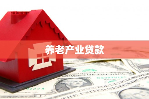揭阳养老产业贷款