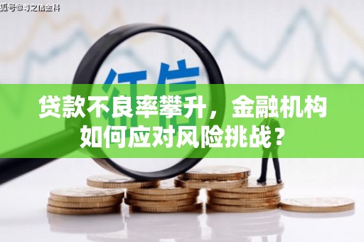 揭阳贷款不良率攀升，金融机构如何应对风险挑战？