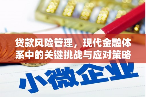 揭阳贷款风险管理，现代金融体系中的关键挑战与应对策略