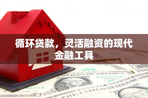 揭阳循环贷款，灵活融资的现代金融工具