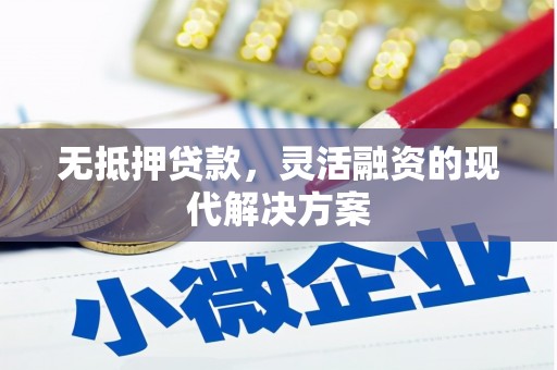 揭阳无抵押贷款，灵活融资的现代解决方案