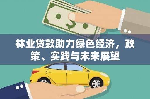 揭阳林业贷款助力绿色经济，政策、实践与未来展望