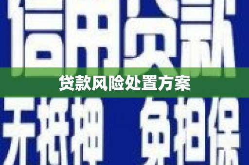 揭阳贷款风险处置方案