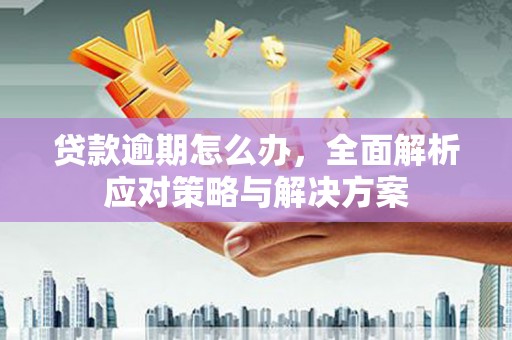 揭阳贷款逾期怎么办，全面解析应对策略与解决方案
